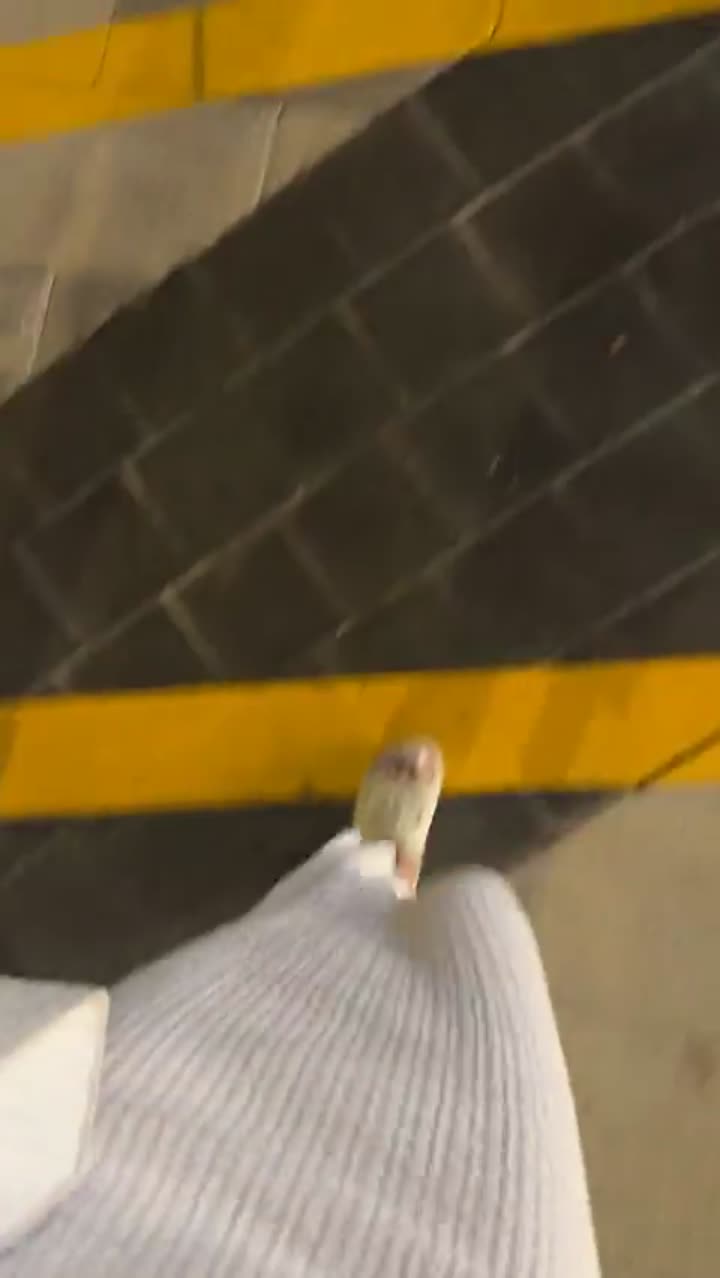 Story