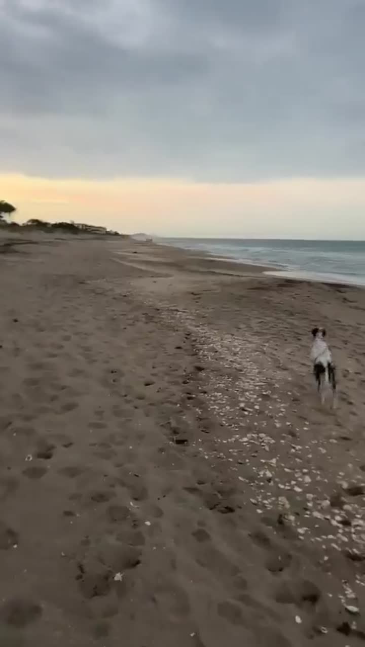 Story
