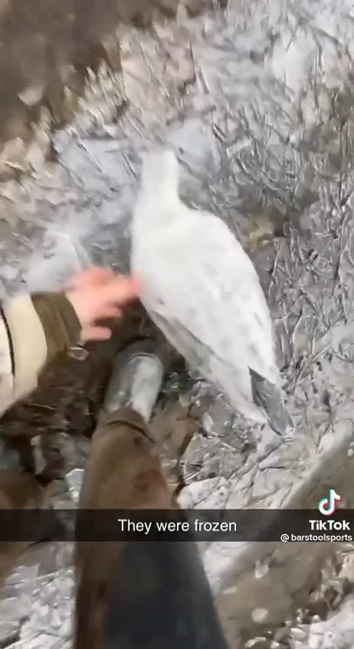 Story