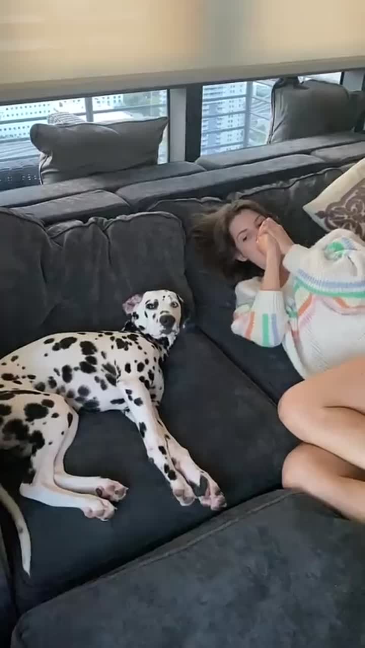 Story
