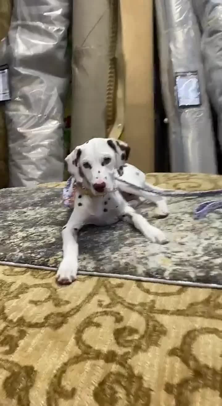 Story