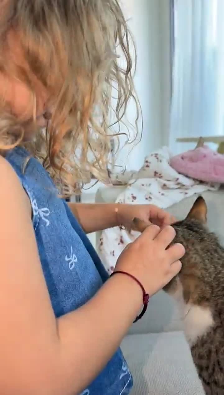 Story