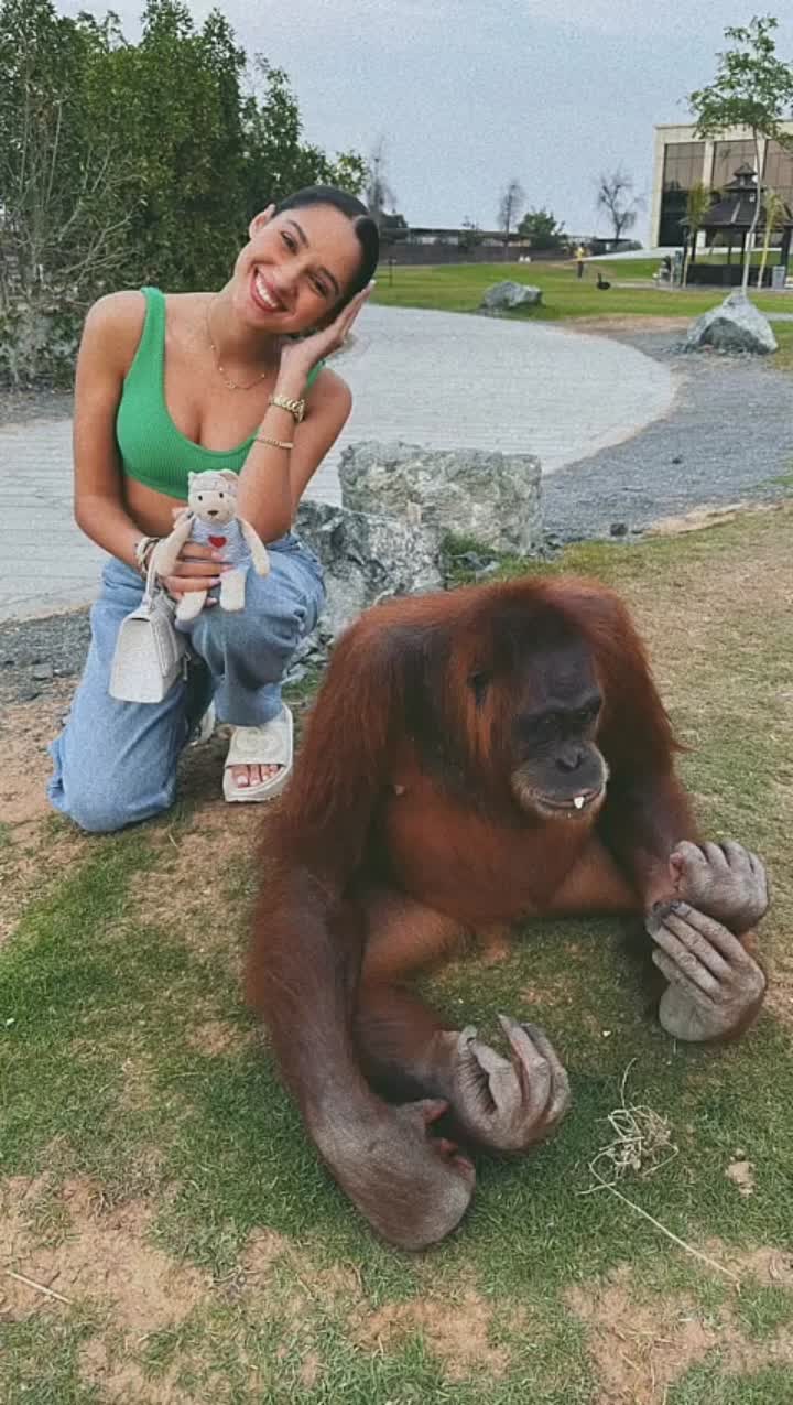 Story