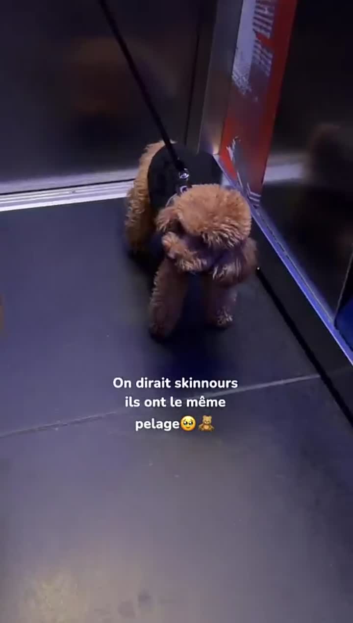 Story