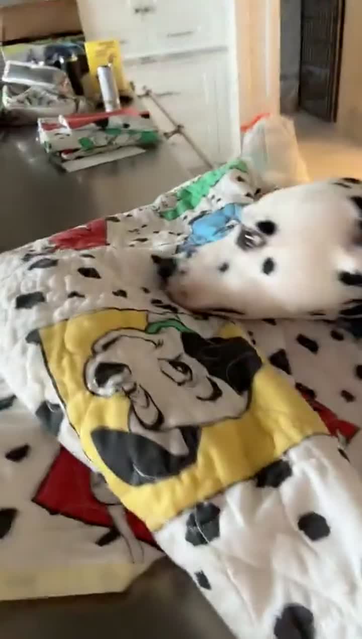 Story