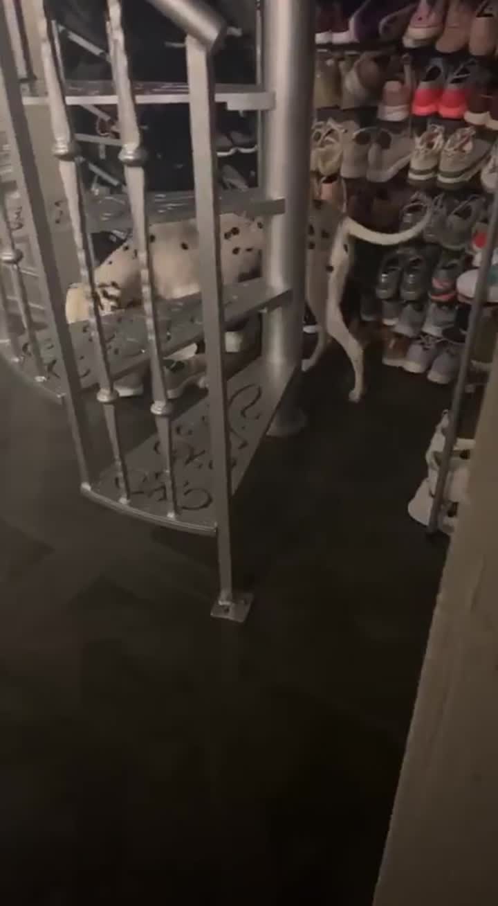 Story