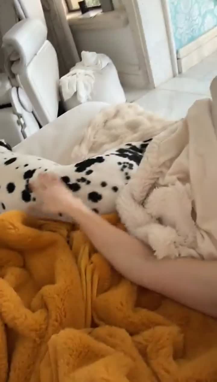Story