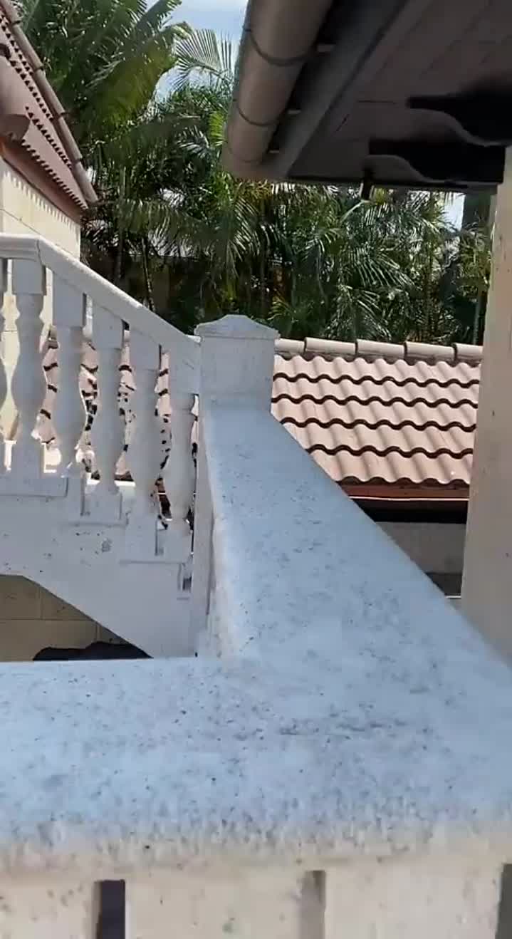 Story