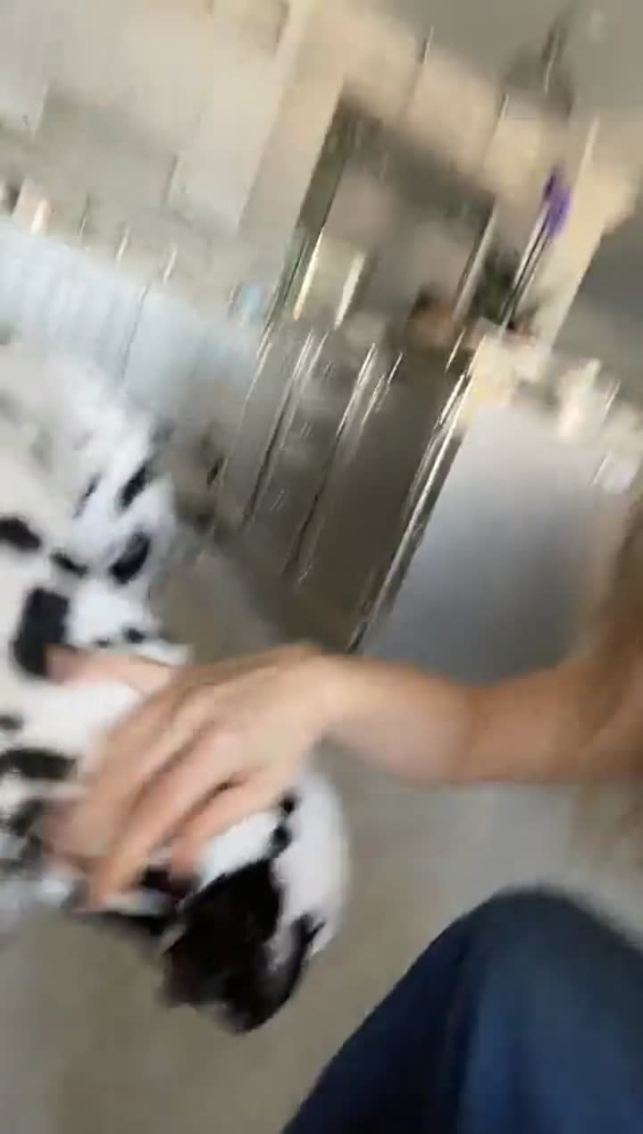 Story