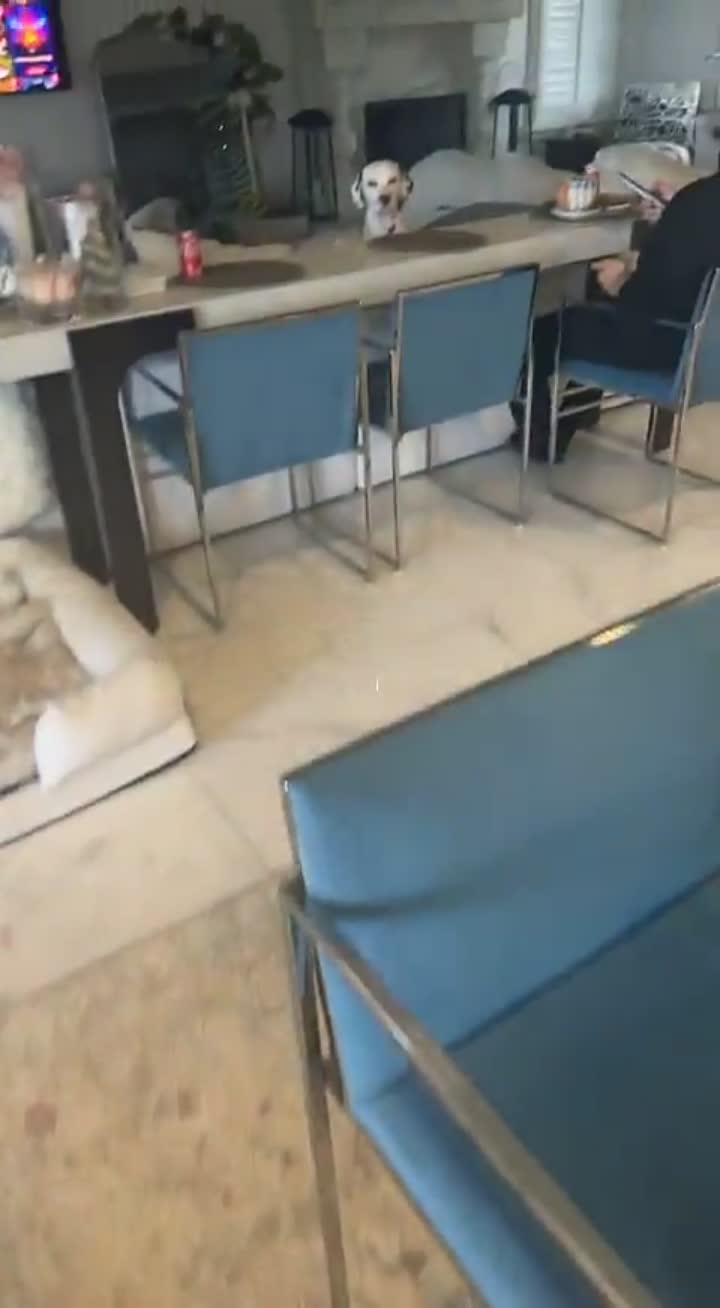 Story