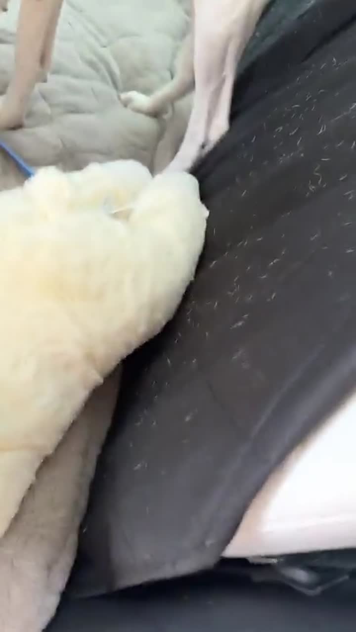 Story