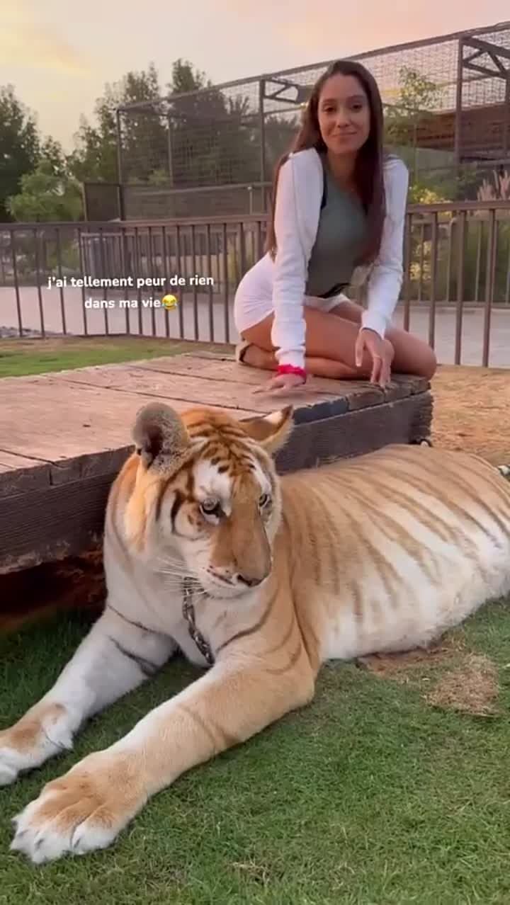 Story