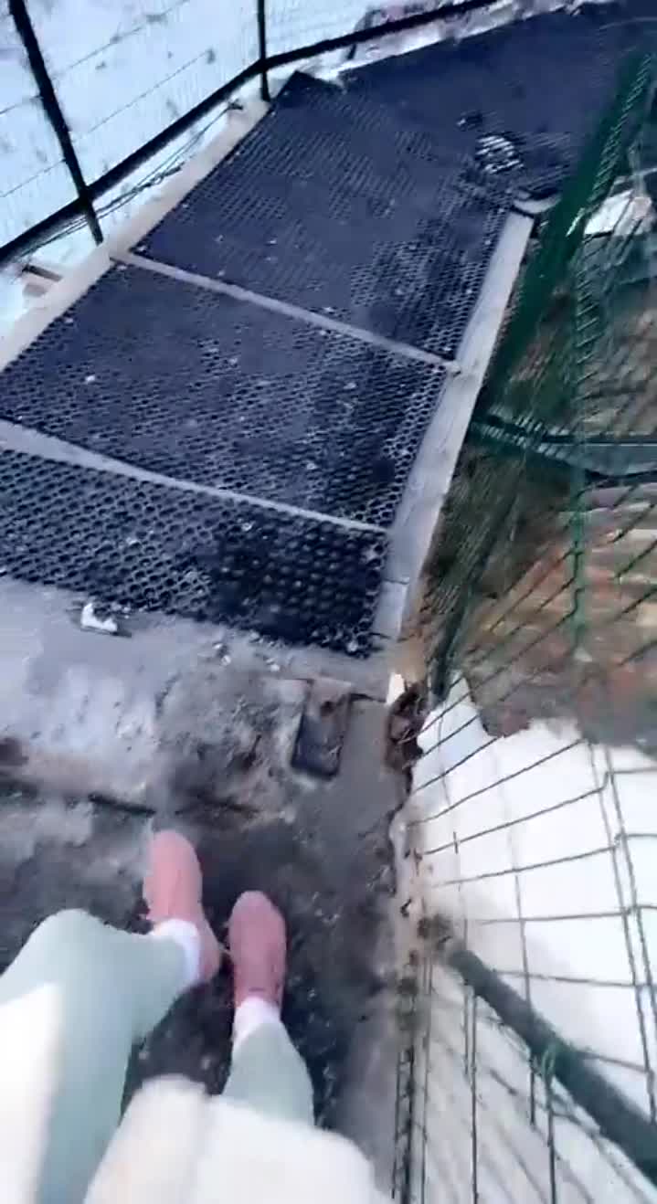 Story