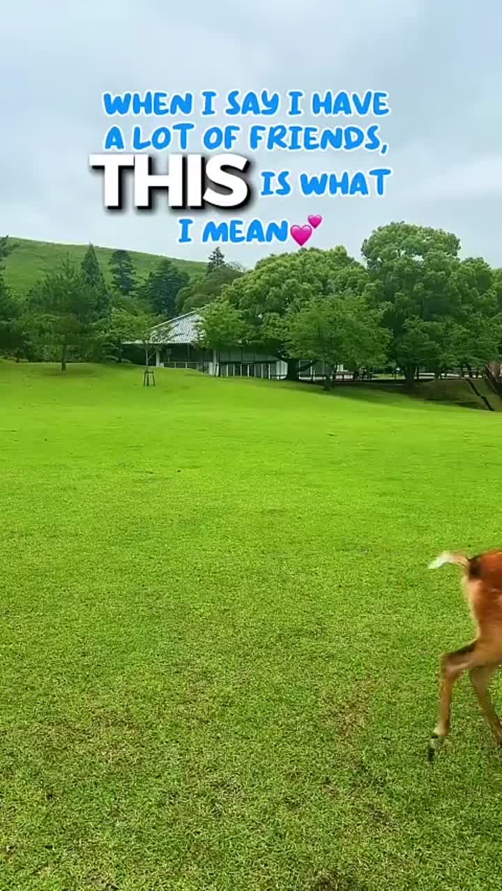 Story