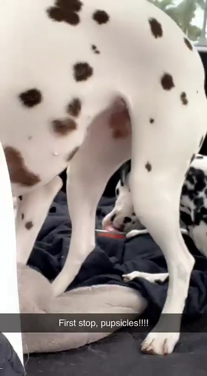 Story