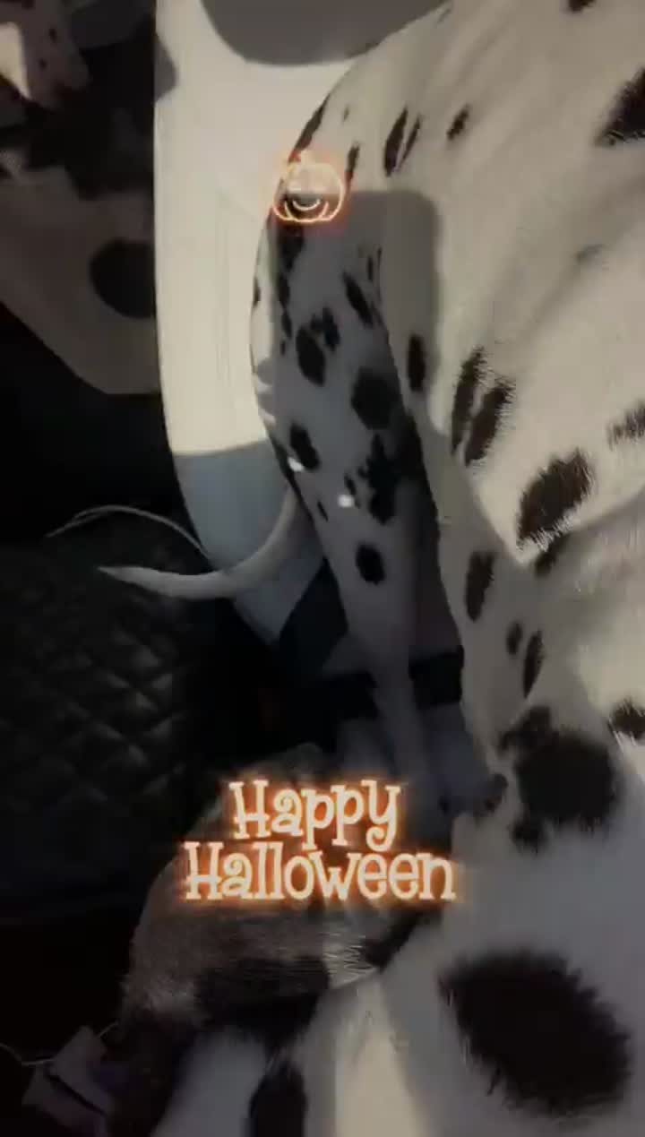 Story