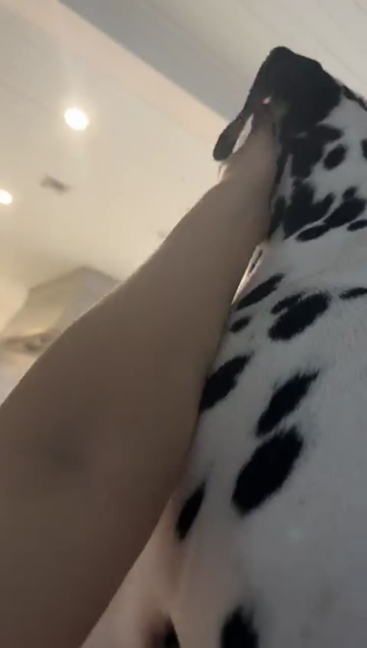 Story