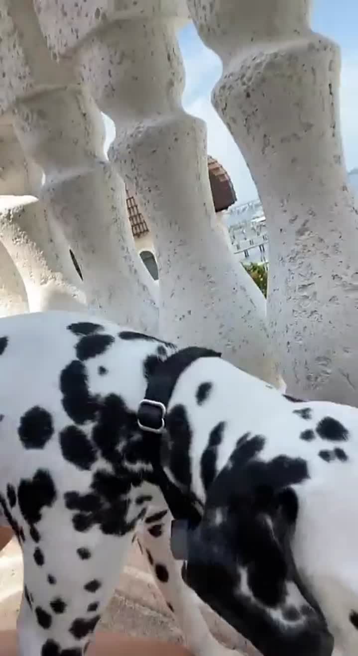 Story