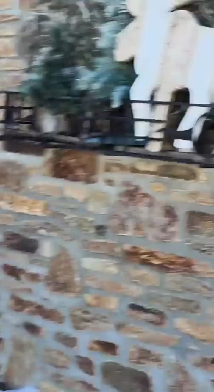 Story