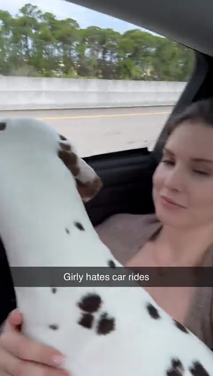 Story