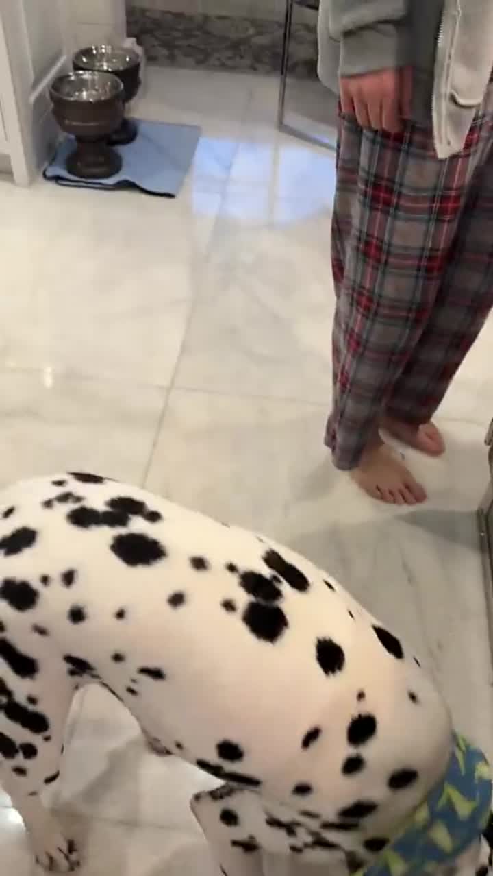 Story