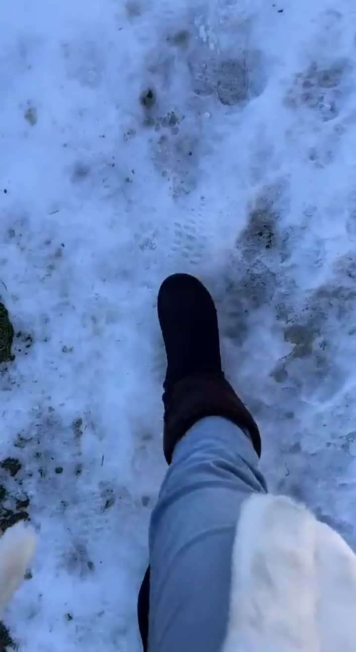 Story