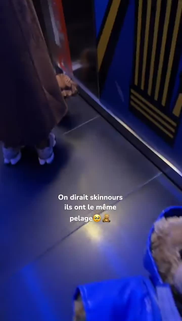 Story