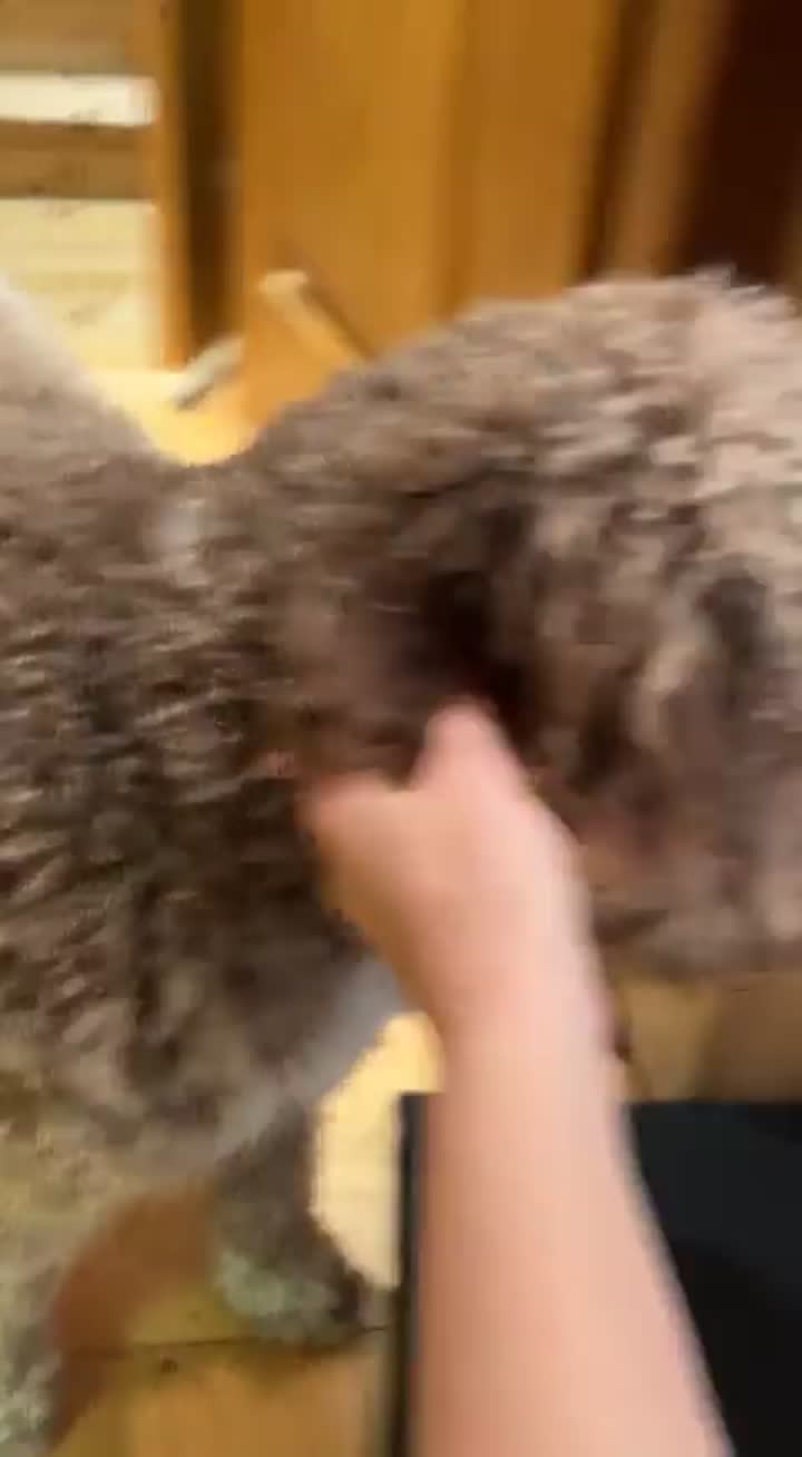 Story