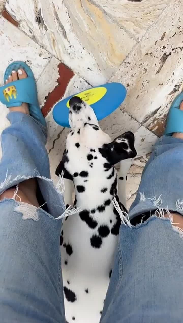 Story