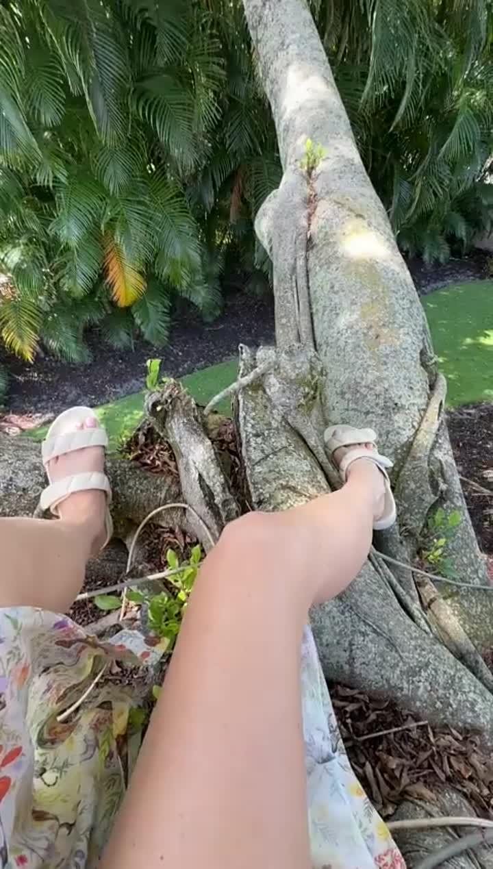 Story