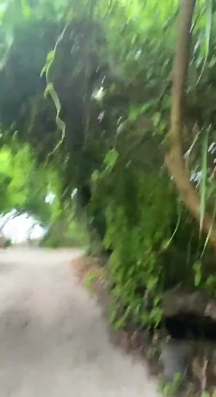 Story