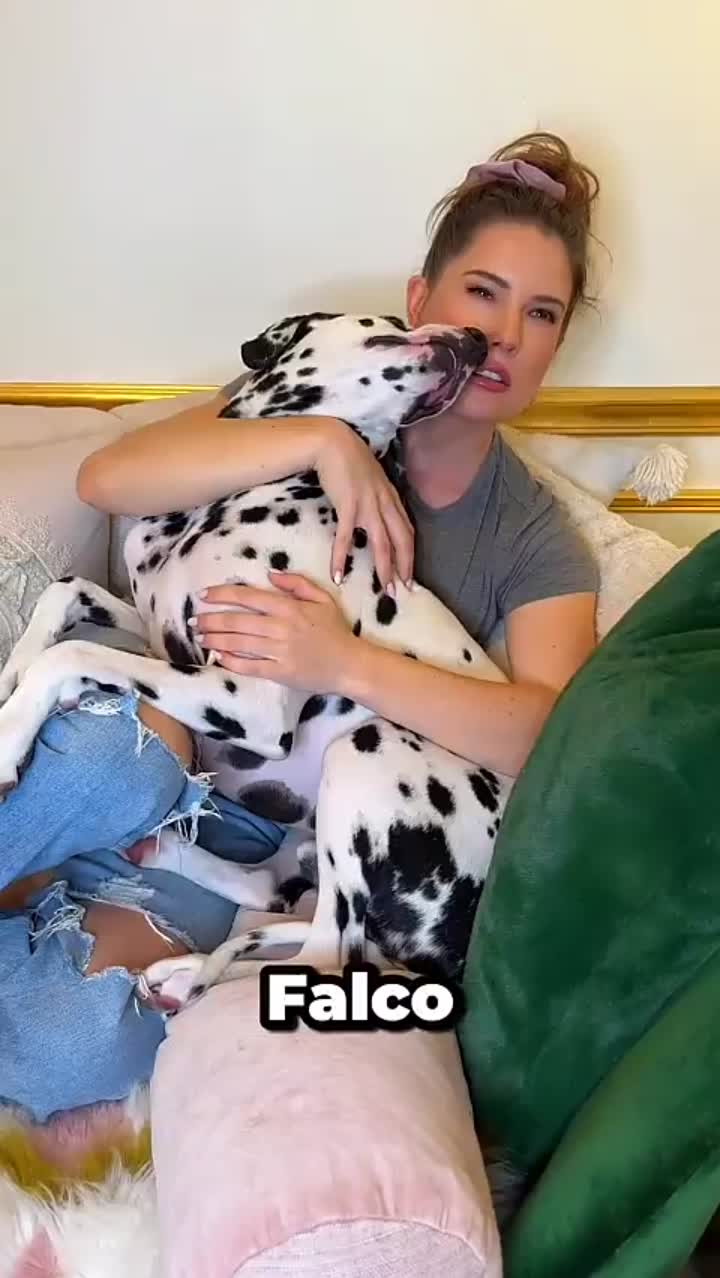 Story