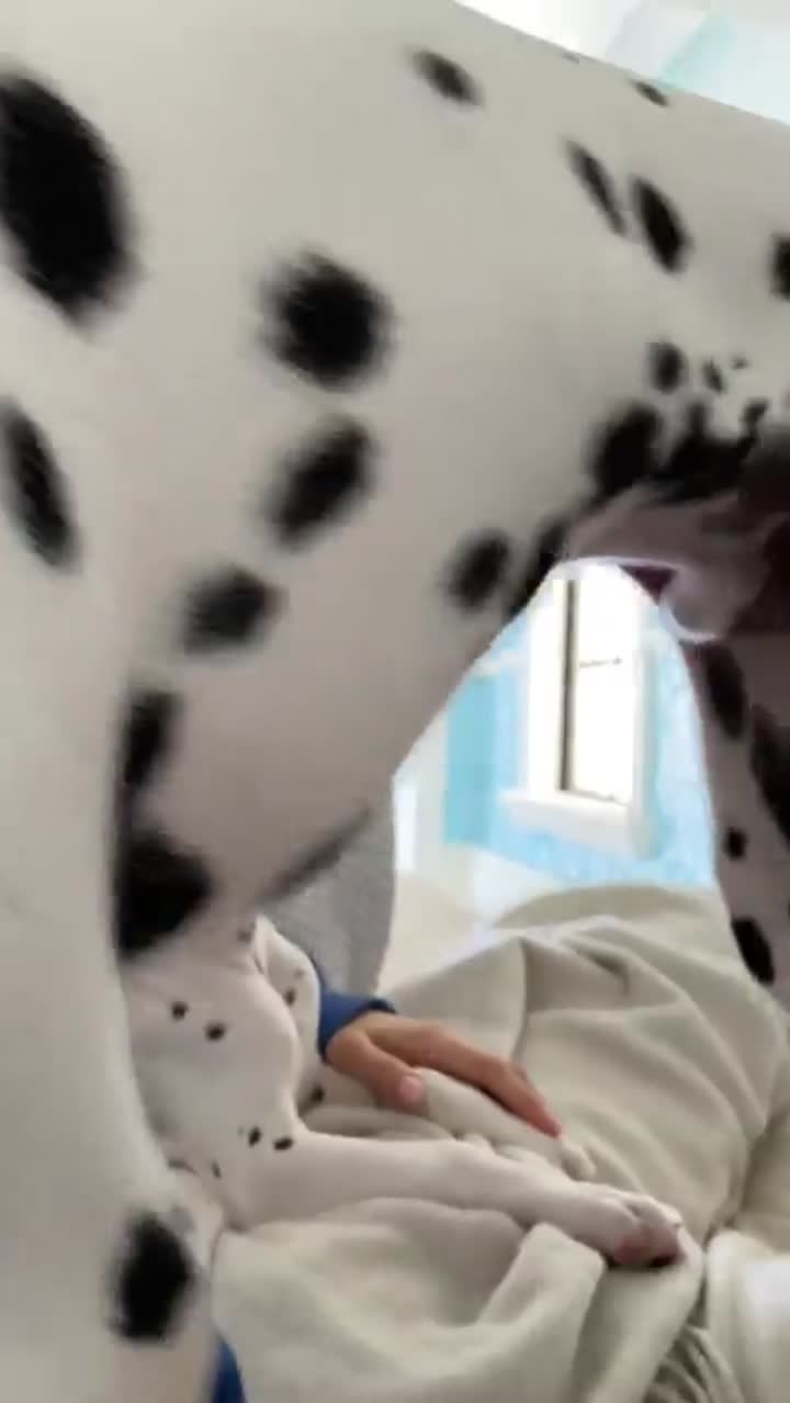 Story