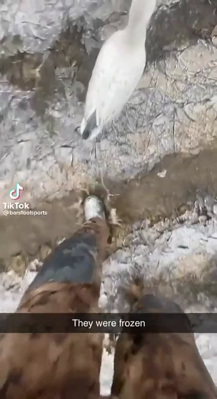 Story