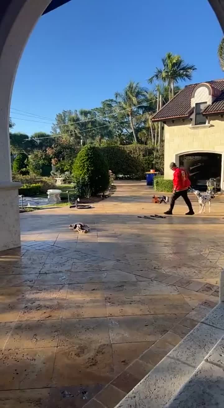 Story