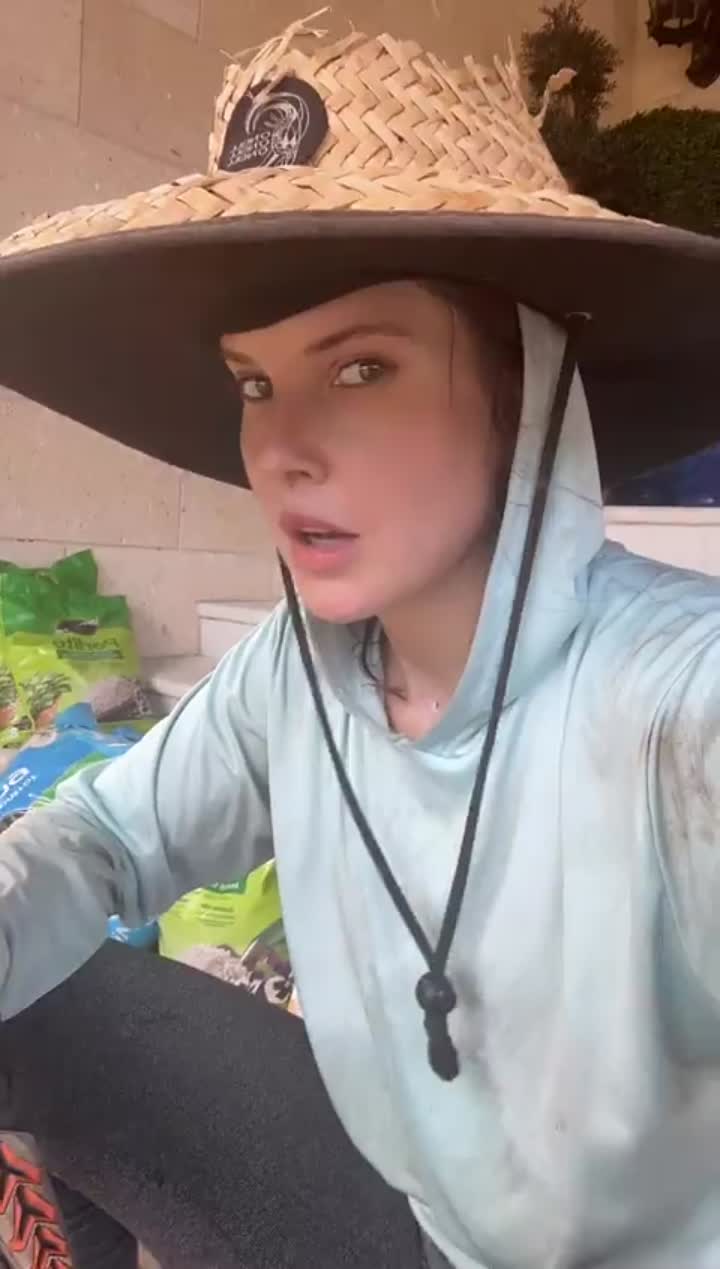 Story
