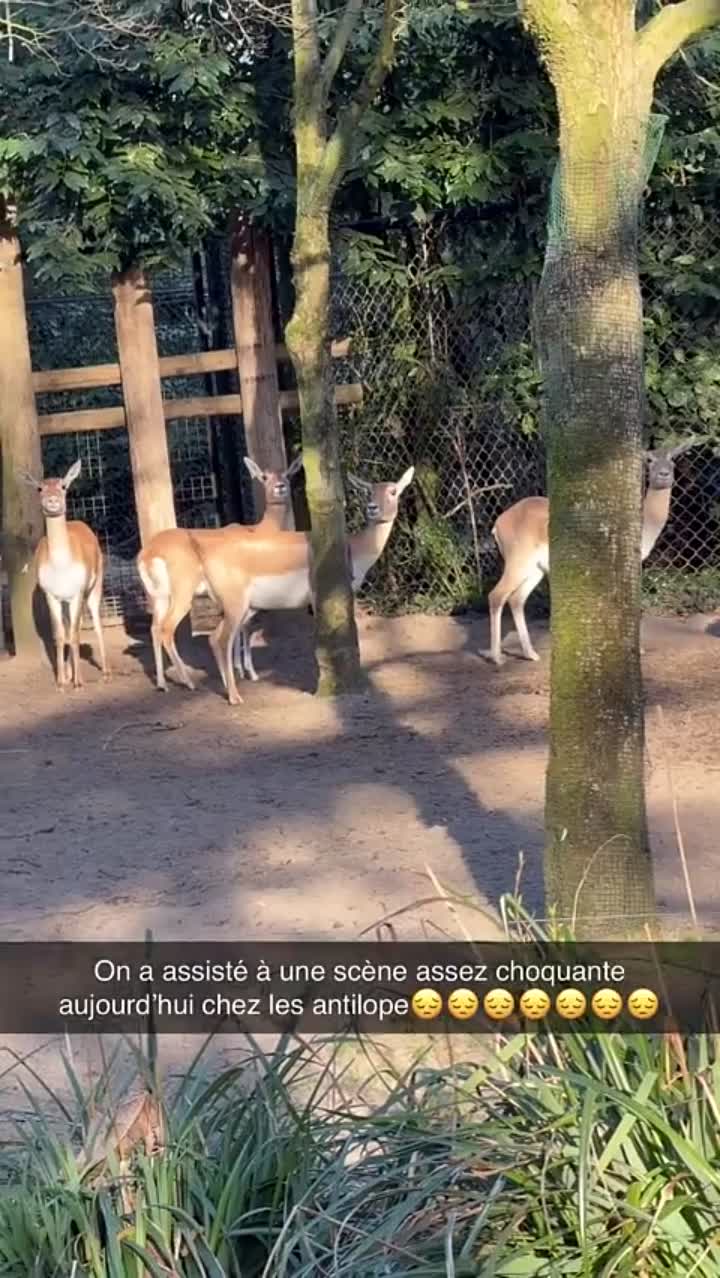 Story