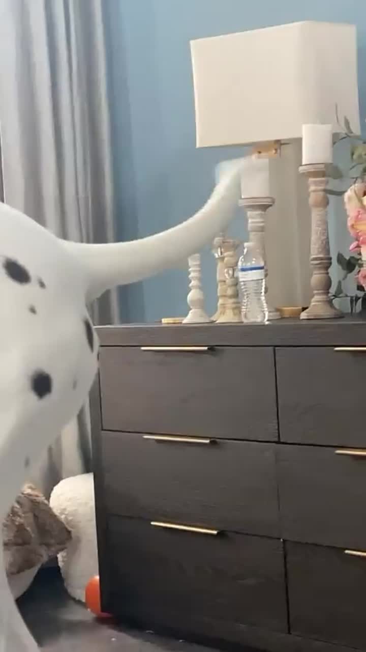 Story