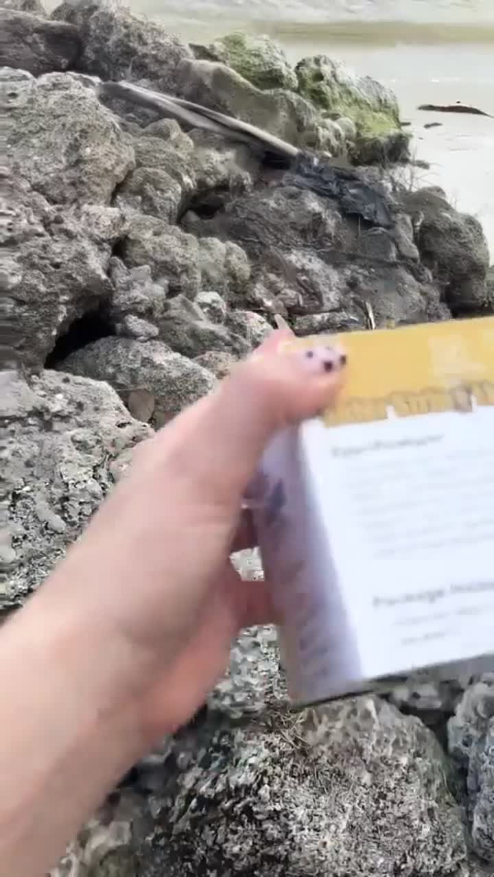 Story
