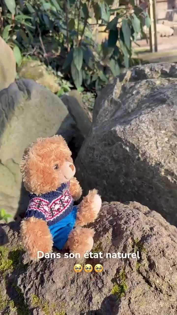 Story