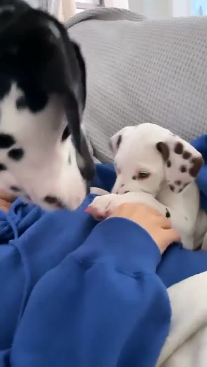 Story