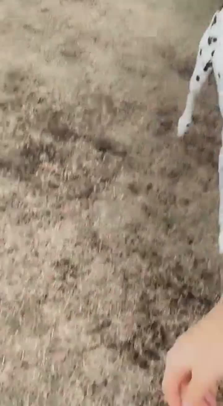 Story