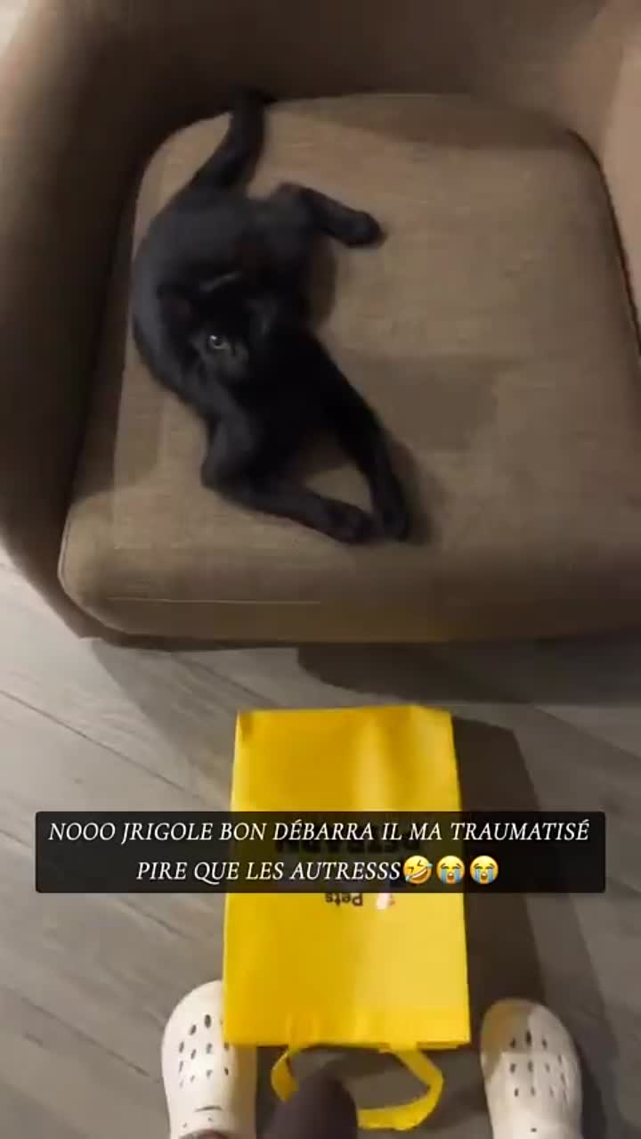 Story