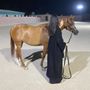 Liliane in 🇸🇦