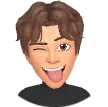 Thibsgv