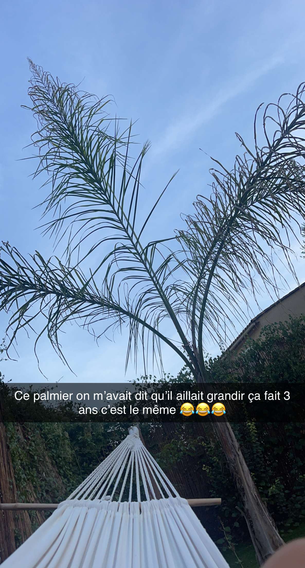 Story
