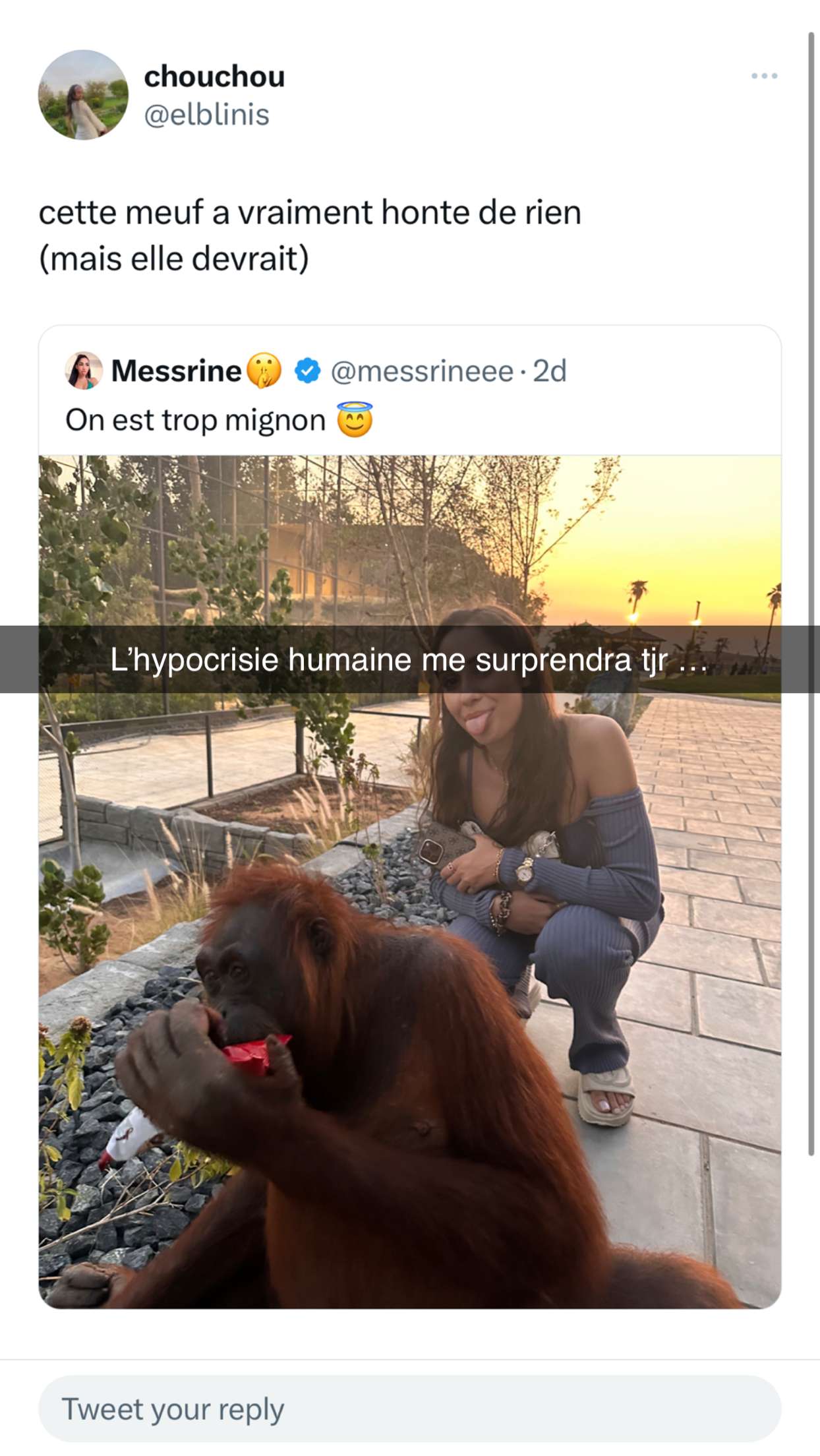 Story