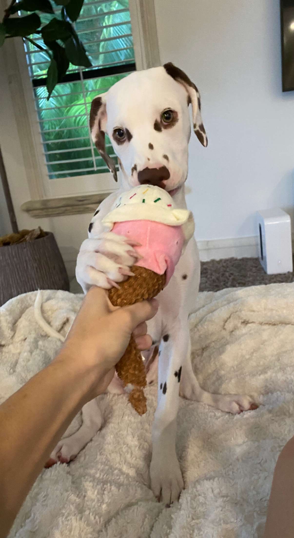 Story