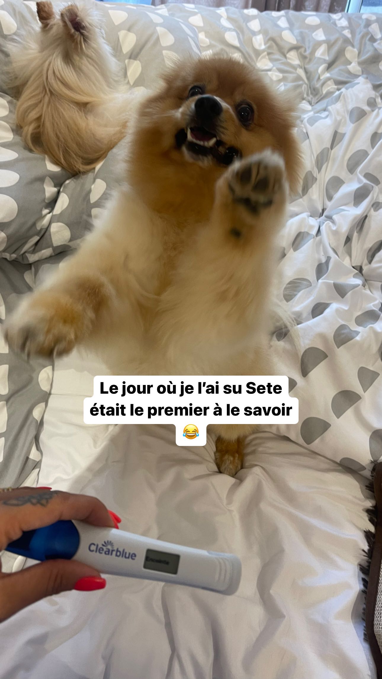 Story