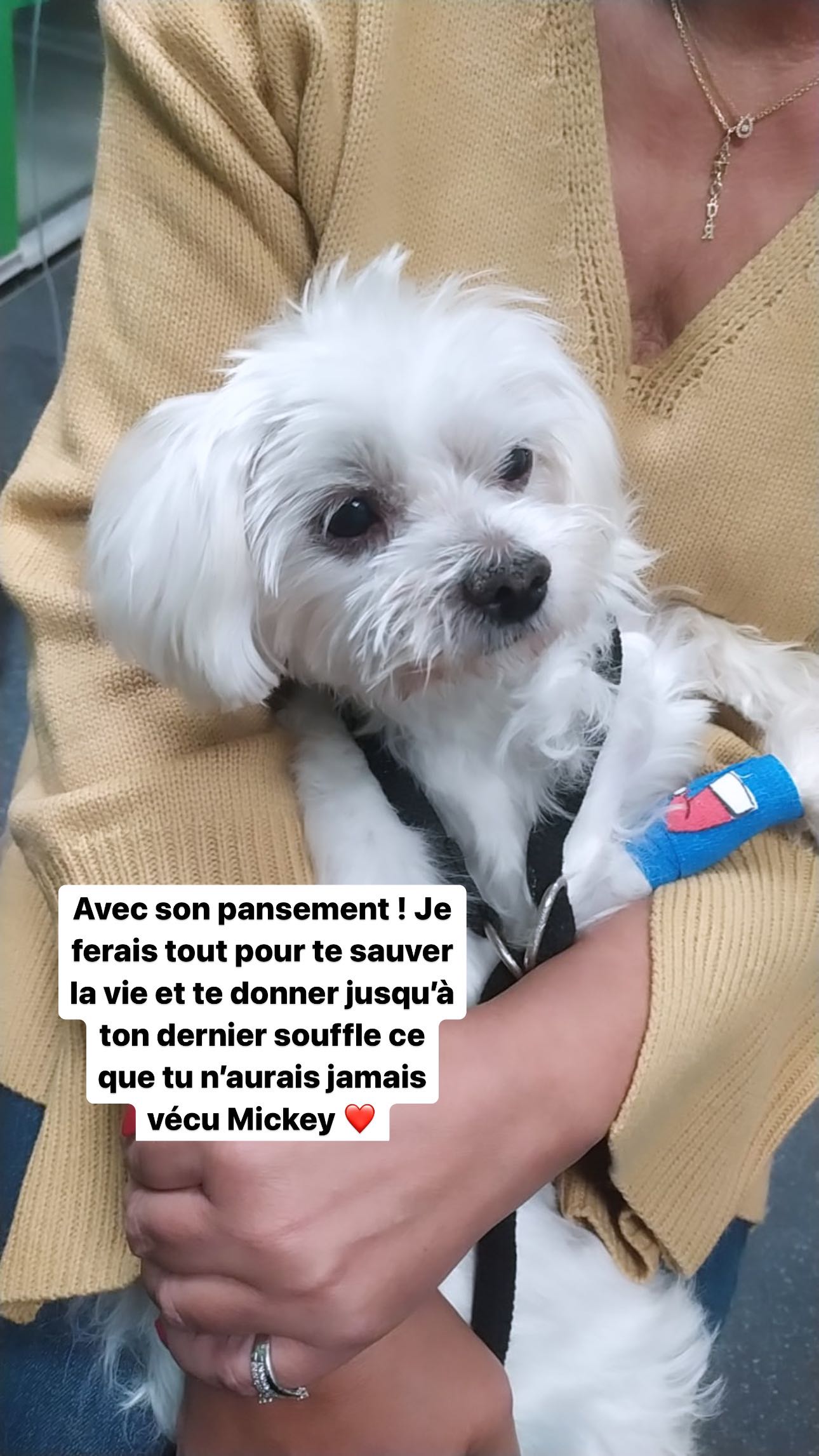 Story